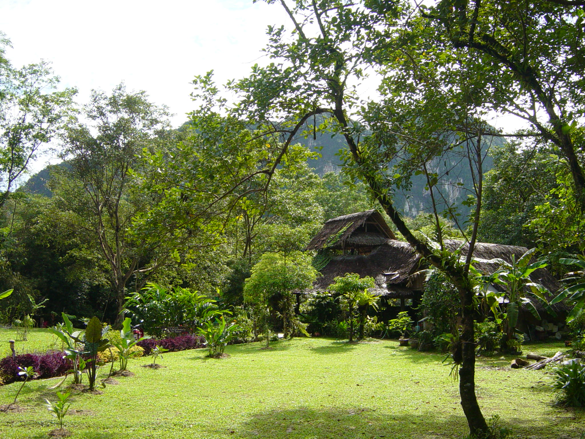 Reception im Dschungel - Deutsche Tauchschule Phuket