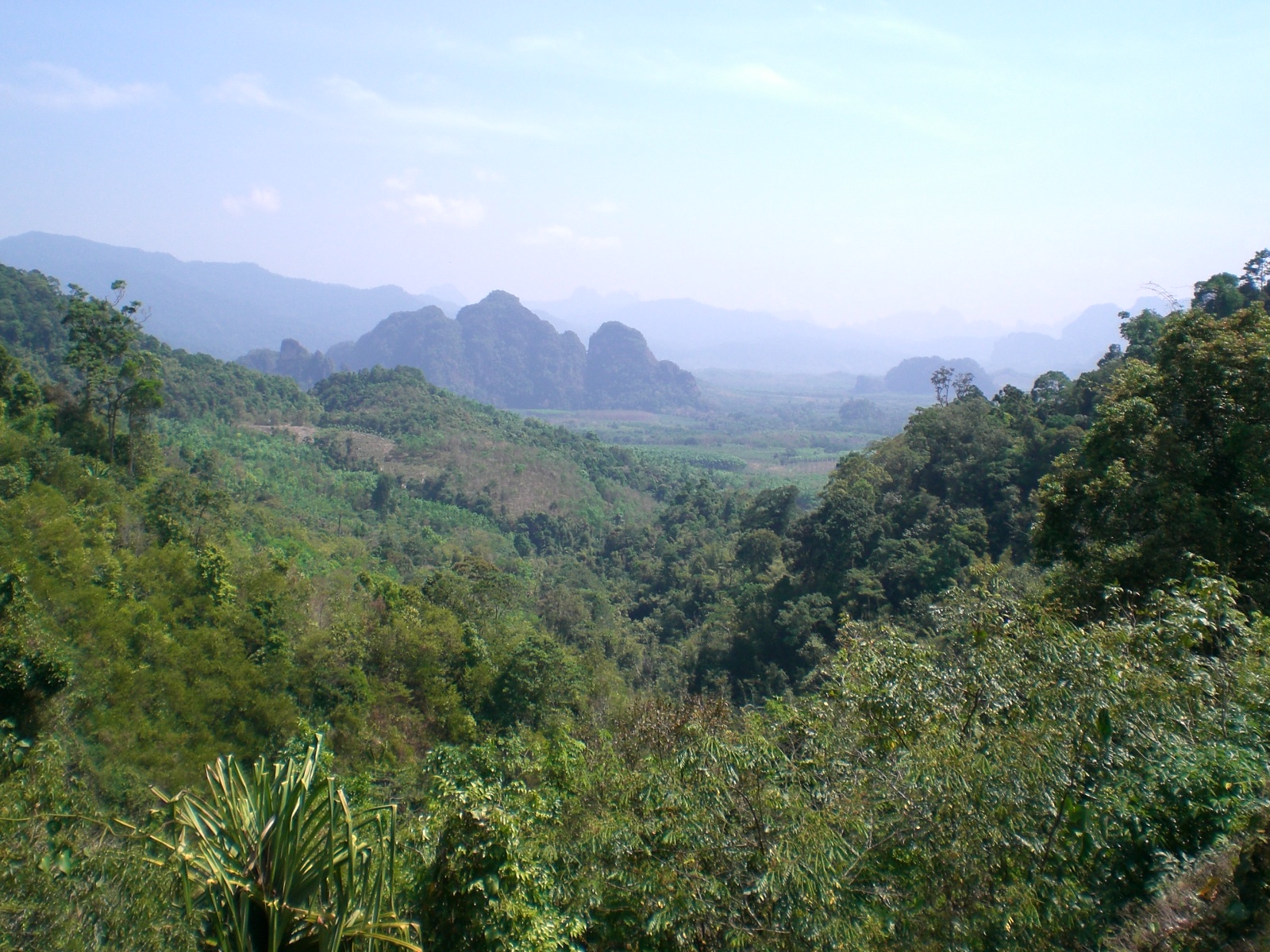 Dschungellandschaft - Phuket tauchen