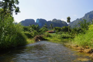 Fluß im Rainforest Resort
