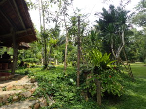 Rainforest Resort - Khao Sok National Park