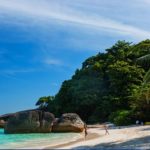 Palmenstrand - Similan Islands